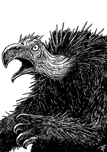 Vulturebear-02