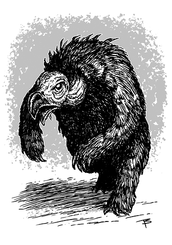 Vulturebear-01
